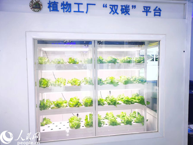 財經觀察 激發創新源頭活力，科技賦能數字內容，讓生活更精彩